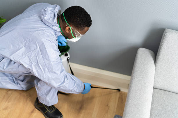 Best Residential Pest Control  in Cleburne, TX